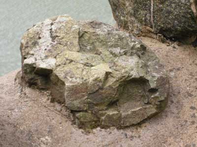 gullet_epidote.jpg